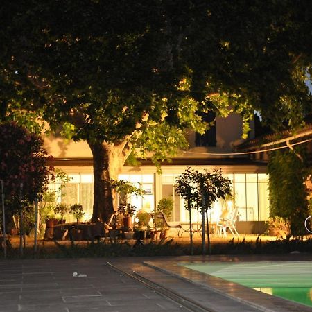 Entraigues-sur-la-Sorgue La Ferme De Tonton Jules Et Mame Julia B&B 외부 사진
