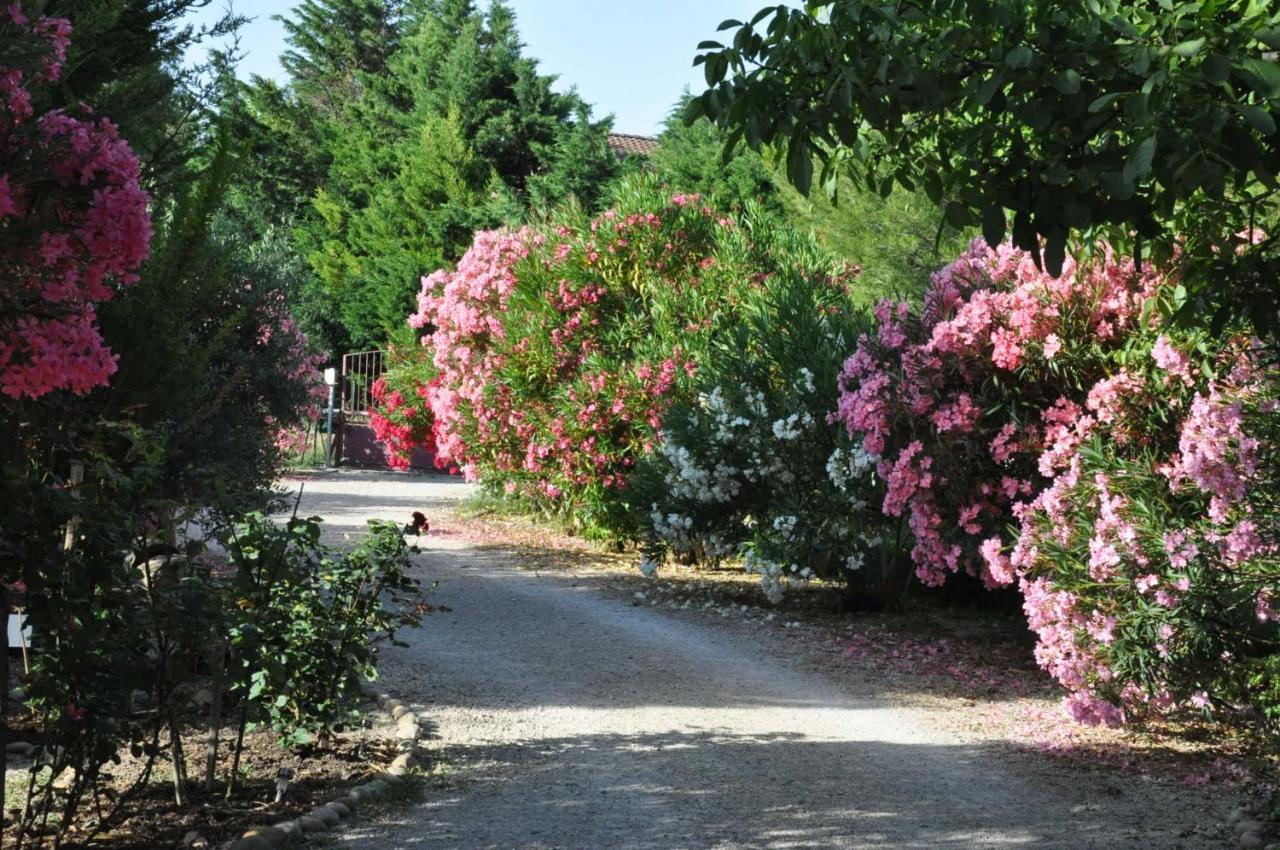 Entraigues-sur-la-Sorgue La Ferme De Tonton Jules Et Mame Julia B&B 외부 사진